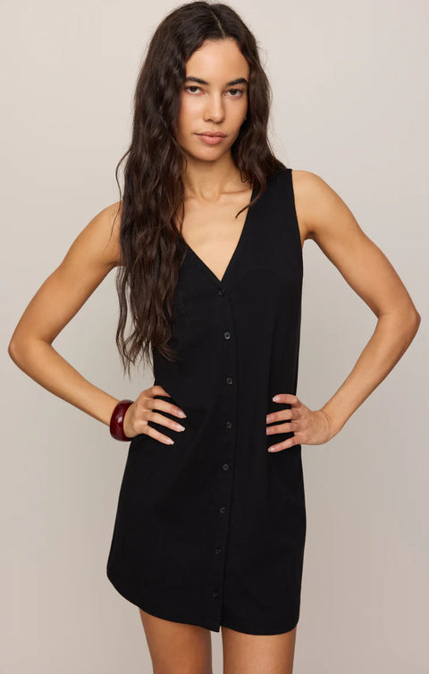 Z Supply Solace Mini Dress