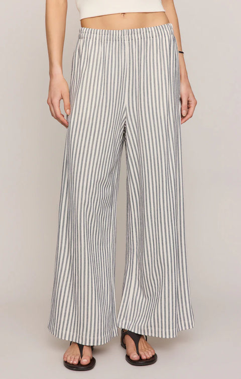 Z Supply Scout Knit Pant